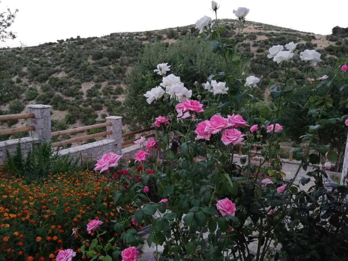 Villa Agno - Βίλα Αγνώ Ano Karies Exteriér fotografie